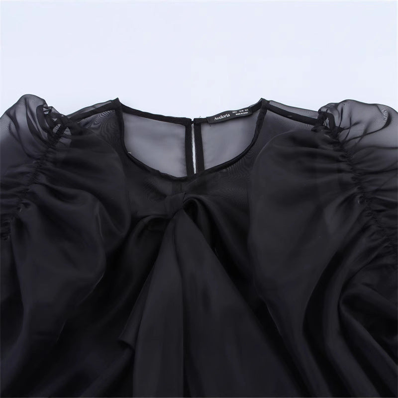 Niche Design Bow Decoration Puff Sleeve Top