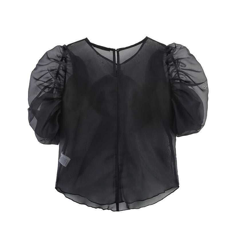 Niche Design Bow Decoration Puff Sleeve Top